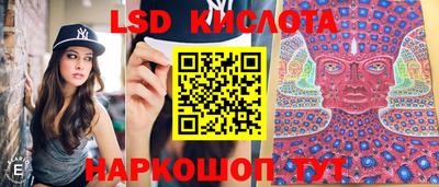 прущие грибы Старая Купавна