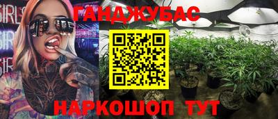 гашик Кулебаки