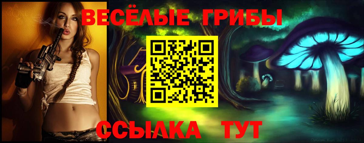 Тында  Псилоцибиновые грибы прущие грибы  Вход с VPN 